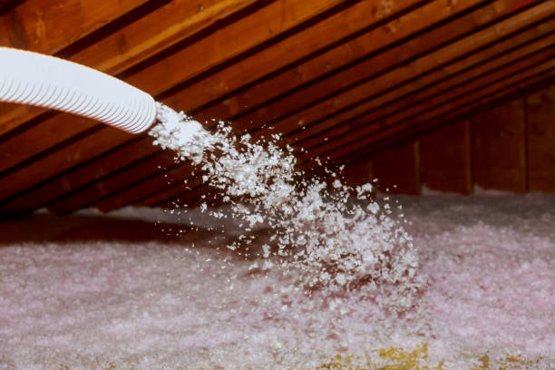 Best Geographic-Specific Insulation Services in Lansdowne, PA
