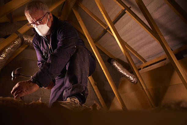 Best Cellulose Insulation in Lansdowne, PA